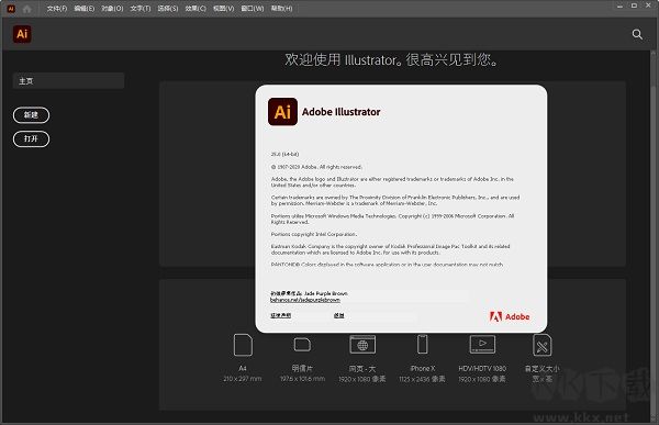 Adobe Illustrator 2021-AI 2021中文破解直裝版