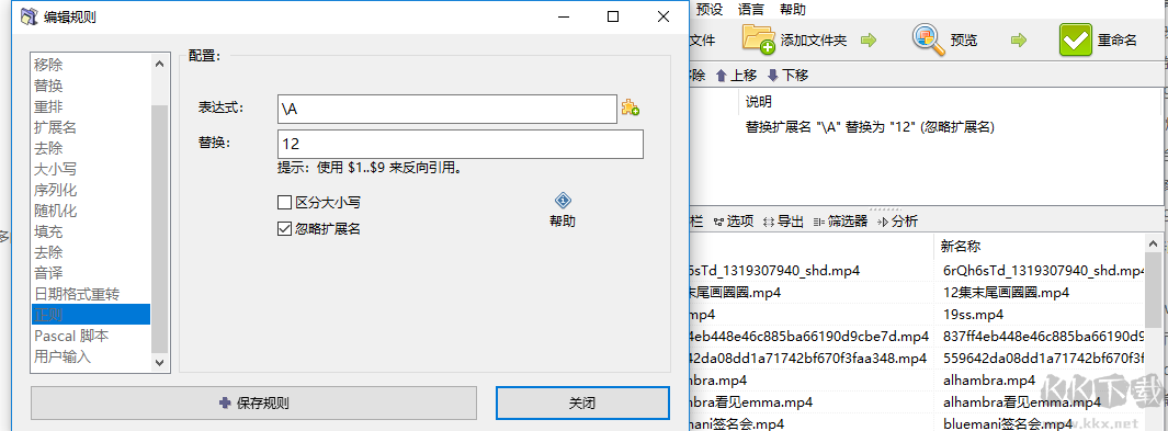 ReNamer Pro文件批量重命名便攜版