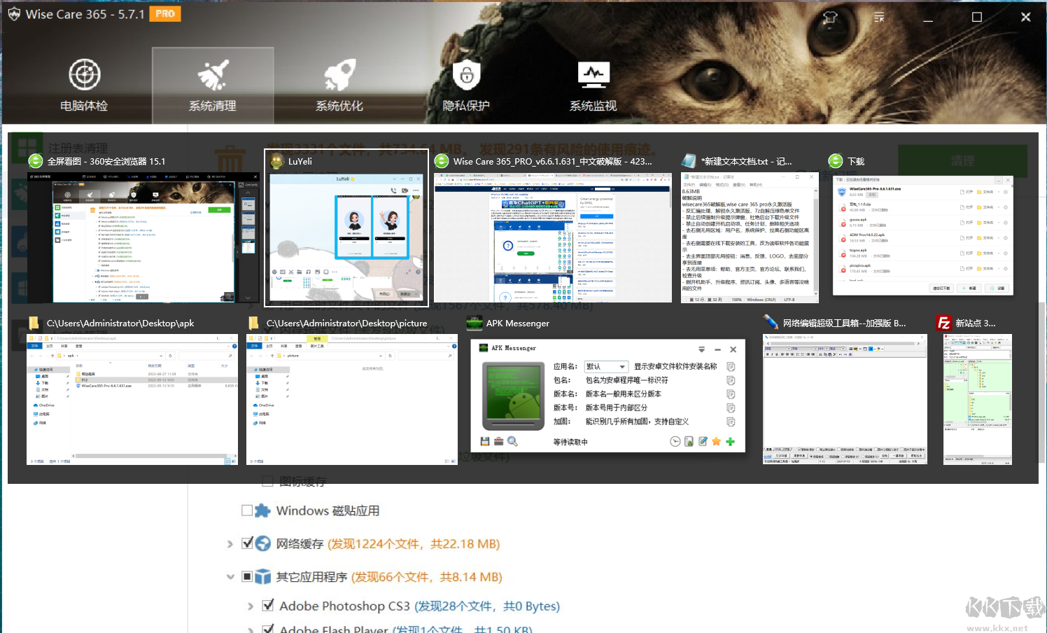 Wise Care 365 Pro永久激活版