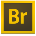 Adobe Bridge 2023破解多語(yǔ)言免登錄版 v14.0.0.102.0