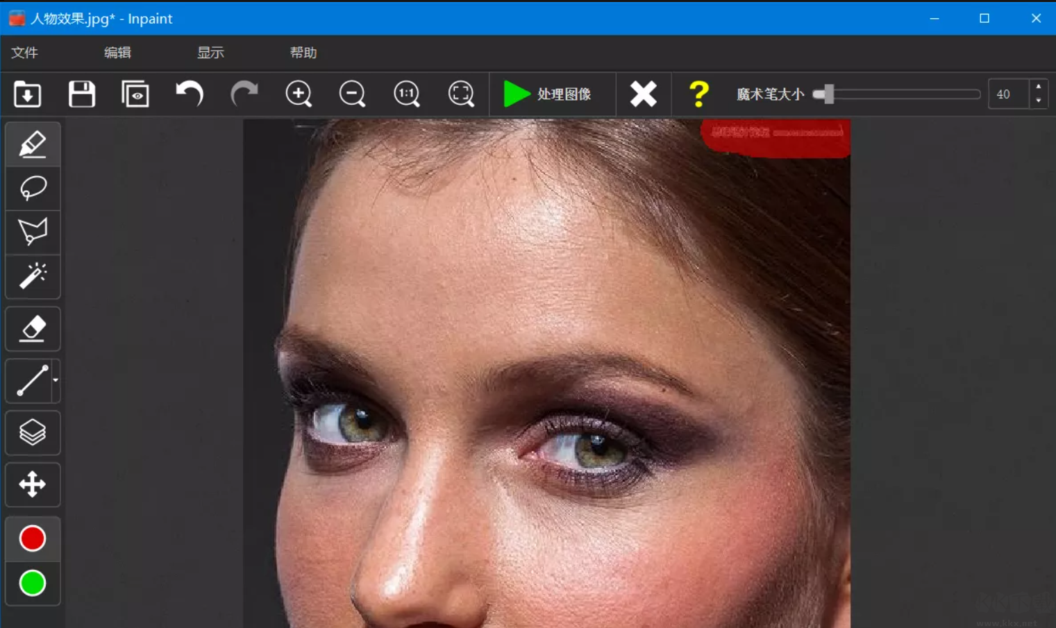 Teorex Inpaint綠色版