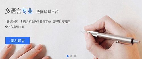 人人譯視界PC客戶端官網(wǎng)版最新