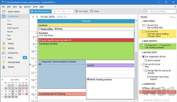 EssentialPIM Pro便攜綠色版