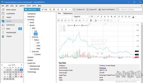 EssentialPIM Pro便攜綠色版