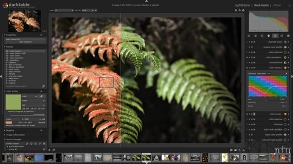 Darktable中文版(RAW圖像處理工具)