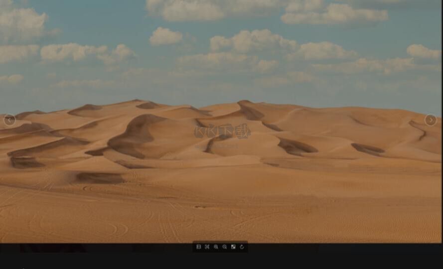 Pineapple Pictures菠蘿看圖綠色版