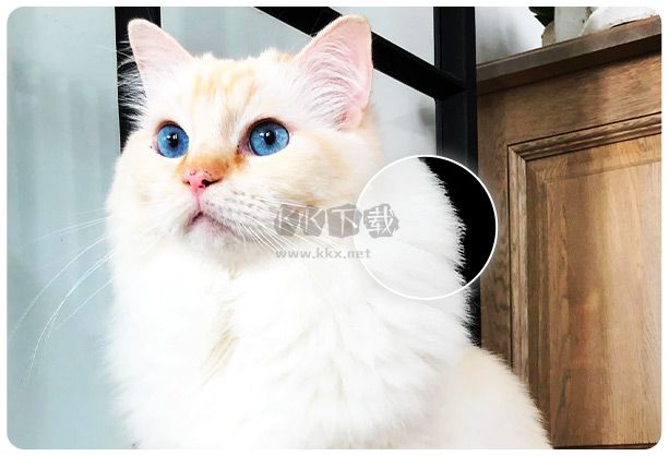 傲軟摳圖PC高級解鎖版