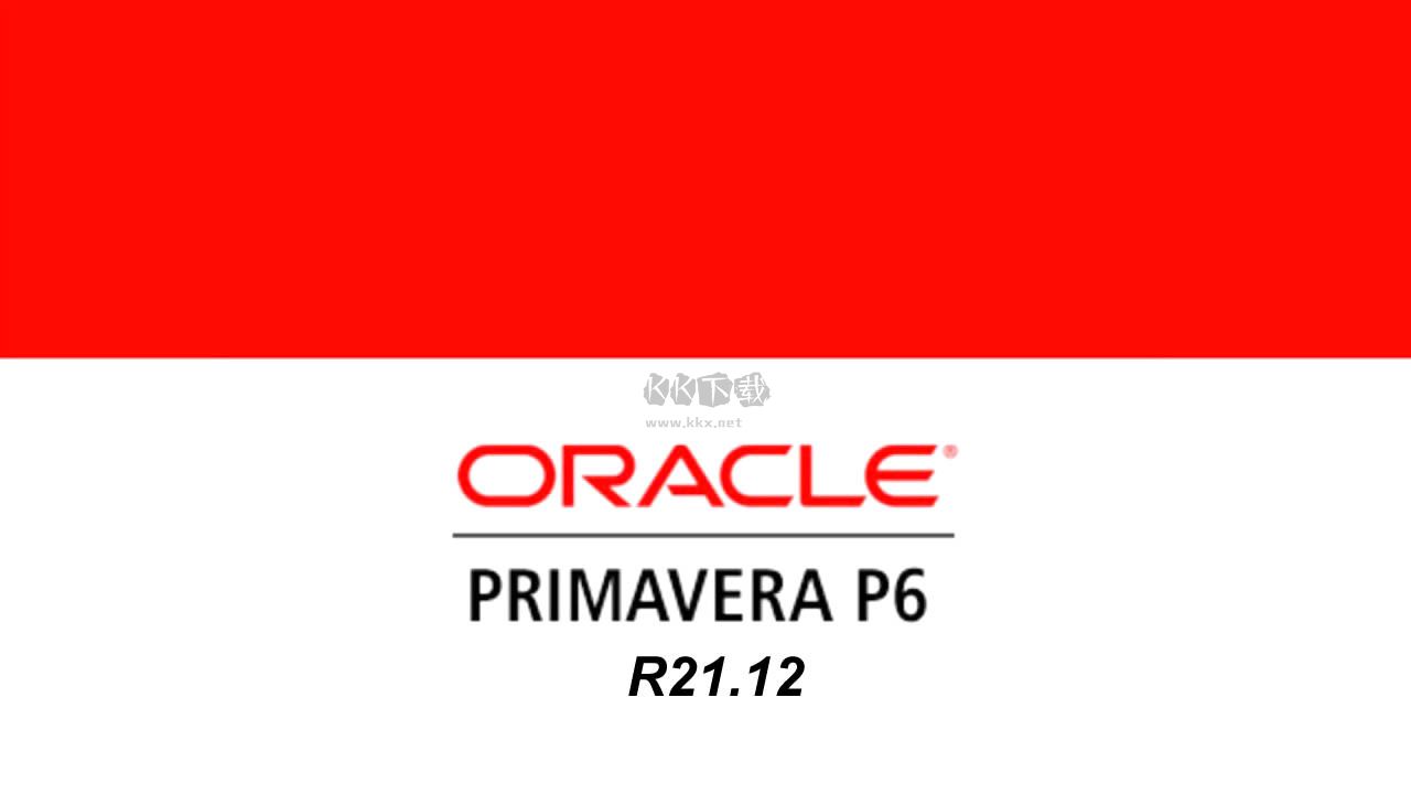 p6項(xiàng)目管理器