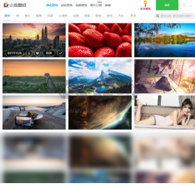 小鳥(niǎo)壁紙電腦版官網(wǎng)最新版