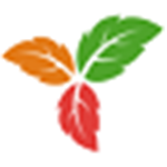 Trilium Notes開源筆記客戶端 v0.62.4 綠色版