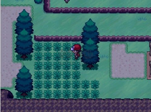 寶可夢(mèng)無(wú)限融合5.0漢化版