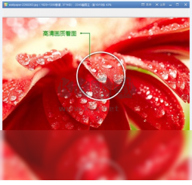 2345看圖王PC客戶端官方最新版
