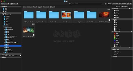 ACDsee電腦版官方2024最新