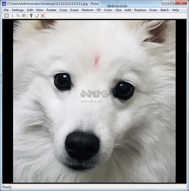 Pictor圖片編輯免費(fèi)版