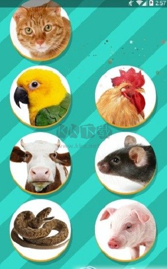 狗語(yǔ)翻譯器中文版