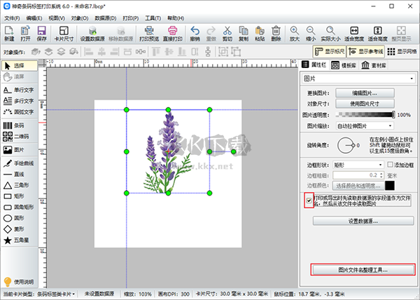 神奇條碼標簽打印系統(tǒng)標準版