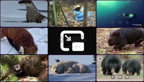 火狐瀏覽器官方版