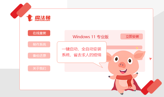 魔法豬系統(tǒng)重裝大師