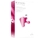 retas studio(二維動畫制作軟件) v2.2.1綠色版