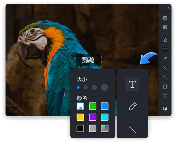 迅捷屏幕錄像工具最新版