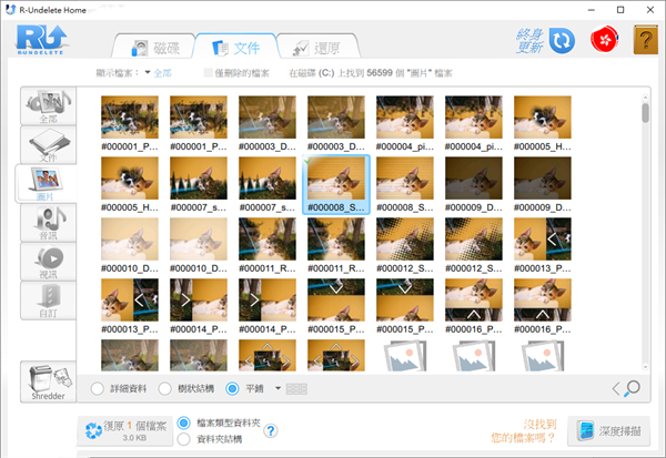 R-Undelete(本地磁盤恢復(fù)工具)