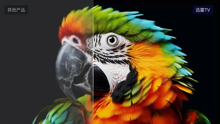 迅雷壁紙免費(fèi)版