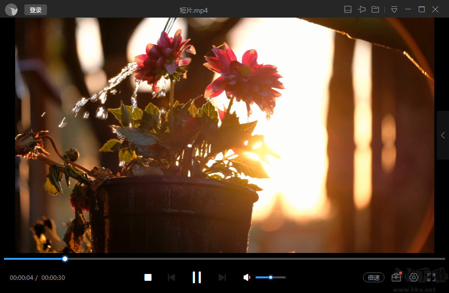迅雷影音電腦版