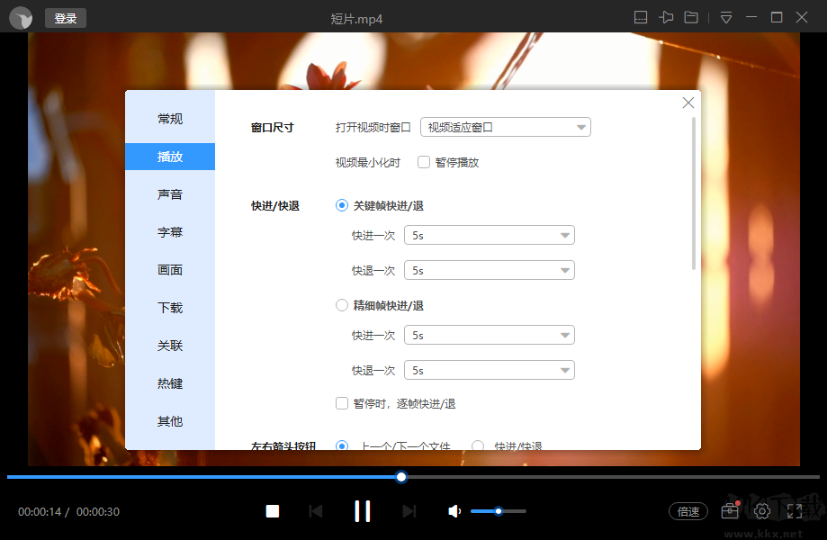 迅雷影音電腦版