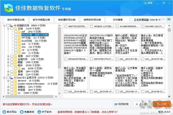 佳佳數(shù)據(jù)恢復(fù)軟件專業(yè)版