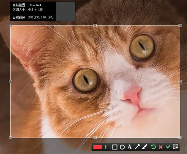 卡卡截圖綠色版