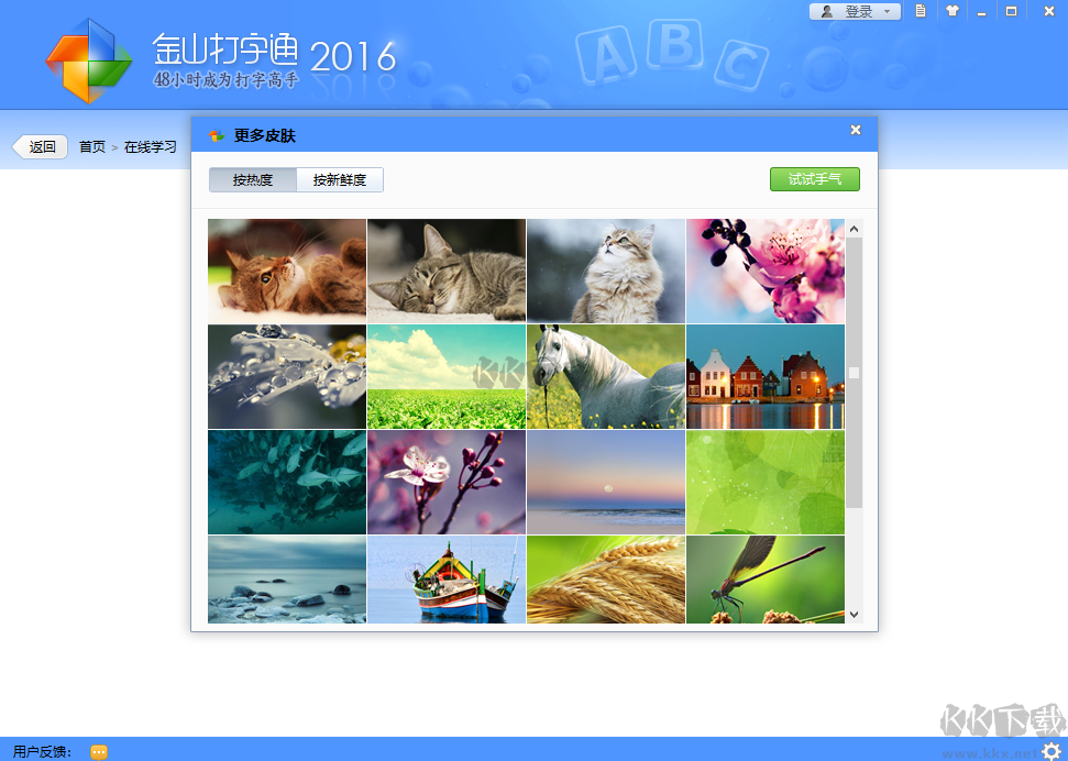 金山打字通去廣告版