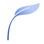 寫作天下無損版 v3.0.7