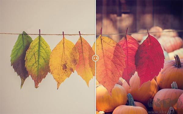 Topaz Mask AI專業(yè)版