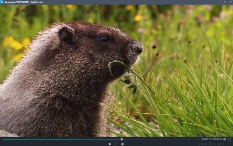 影片轉(zhuǎn)換王綠色版