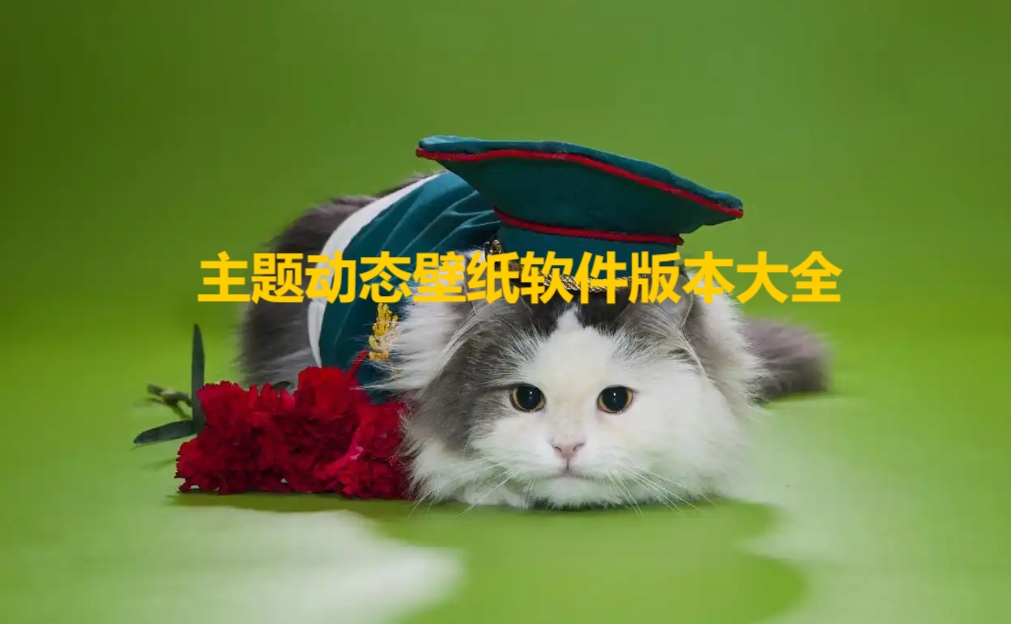 主題動(dòng)態(tài)壁紙app軟件版本合集-熱門必備主題動(dòng)態(tài)壁紙軟件推薦-主題動(dòng)態(tài)壁紙app軟件大全