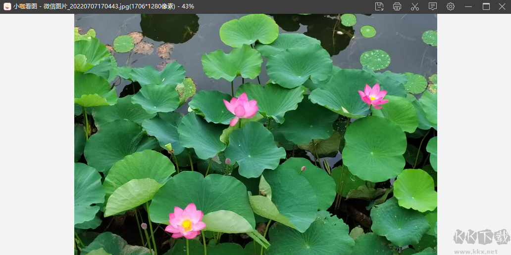 小咖看圖純凈版