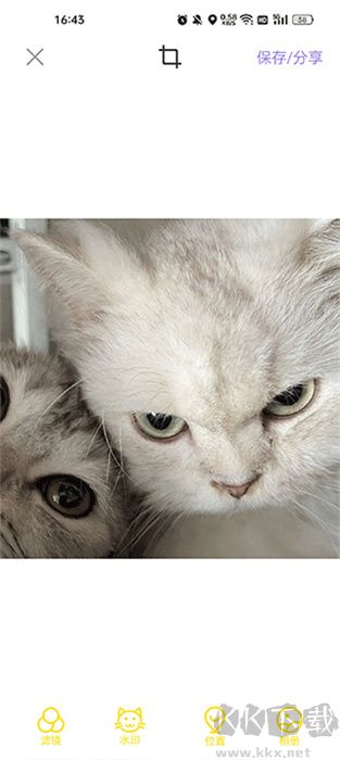 寵物動漫相機軟件