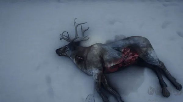 獵人：荒野的召喚三十四項(xiàng)修改器電腦版