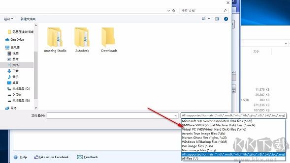DataNumen Data Recovery