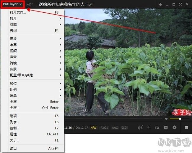 РotРlayer使用方法