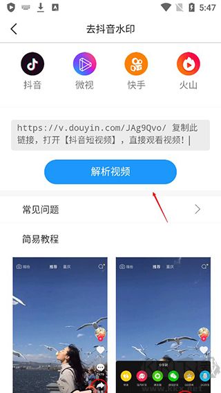 刷圈精靈安卓版