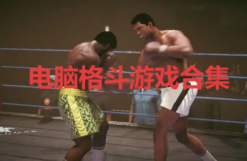 電腦格斗游戲合集-九大PC格斗游戲推薦-電腦最佳格斗游戲大全