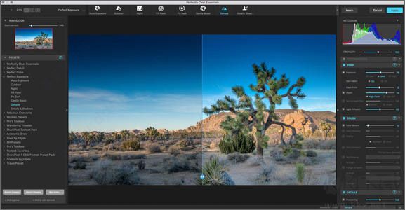 Perfectly Clear Complete