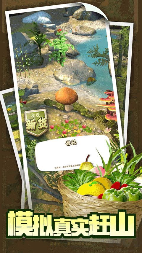 趕山趕海開飯店