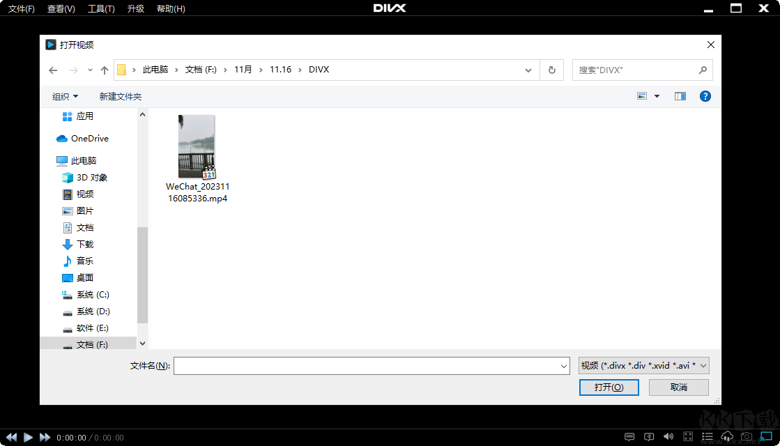 DivX Plus(divx解碼器)