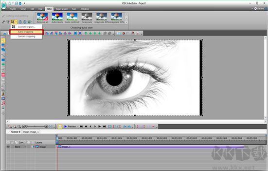 VSDC Video Editor(視頻編輯器)