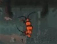 雨世界(Rain World)