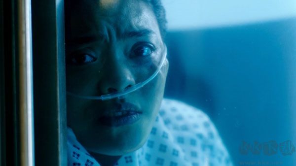 復(fù)體(The Complex)