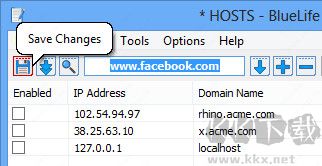 BlueLife Hosts Editor(host文件編輯工具)