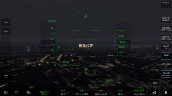 真實飛行模擬器